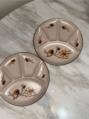 Hearthside Lora Stoneware Speckled Floral Divided Plate Set of 2 Fondue